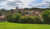 Excursión Senderismo Montigny-sur-Loing - T-Montigny - Photo 2