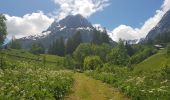 Trail Walking Vallorcine - Vallorcine au Buet - Photo 4
