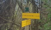 Tour Wandern Crêts-en-Belledonne - Brame Farine  St Pierre Allevard - Photo 2