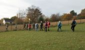 Tour Wandern Genappe - #181109 - Amis de Bousval n°8 - Promenade des grands fossés**** - Photo 6