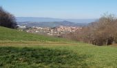 Tour Wandern Grézieu-le-Marché - Grézieu Le Marché - St Symphorien sur Coise - Photo 12