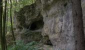 Tour Zu Fuß Königstein - Rundweg Königstein – Kürmreuth - Photo 2