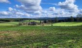 Tour Wandern Hohenfels - Cetturu 060224 - Photo 17