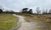 Trail Walking Kalmthout - Kalmthout parcours Park 24,4 km - Photo 5