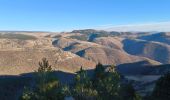 Tour Wandern Saint-Étienne-du-Valdonnez - Montmirat - Photo 4