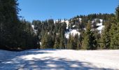 Excursión Senderismo Arâches-la-Frasse - Les Carroz l'Arbaron en boucle - Photo 15