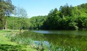 Excursión A pie Ochoz u Brna - naučná stezka Hády a Údolí Říčky - Photo 3