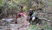 Tour Wandern La Roquebrussanne - la source des orris - Photo 2