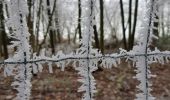 Tour Wandern Stablo - Stavelot  - Somagne - La Vaulx Richard - Photo 5