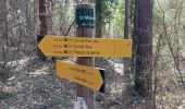 Trail Walking Moustiers-Sainte-Marie - Plein Voir  - Photo 9