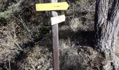 Randonnée Marche Melve - tete de  boursier par la tour et les croix - Photo 4