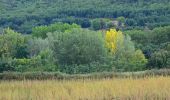 Randonnée Marche Céreste - Céreste - Prieuré Carluc - Photo 7