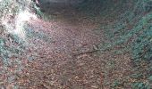 Trail Walking Quistinic - PR_56_Quistinic_AA_01_Poul-Fetan_Circuit1b_20230909 - Photo 6