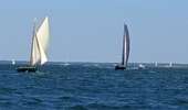 Trail Motorboat Arcachon - Tour de l'île aux Oiseaux - Photo 16