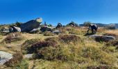 Tocht Stappen Metzeral - Petit-Ballon via Col du Hilsenfirst - Photo 12