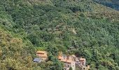 Tour Wandern Saint-Martial - Montagne du Liron au départ de St Martial - Photo 3