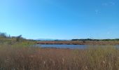 Tocht Stappen Sainte-Marie-la-Mer - sainte marie la mer - village et plage  - Photo 2