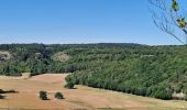 Trail Walking Rochefort - Han sur Lesse - Photo 2