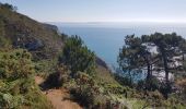 Trail Walking Crozon - FINISTÈRE-  CAP de la CHÈVRE  - Photo 5