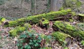 Tocht Stappen Luik - Giboulées à Colonster  - Photo 13