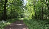 Trail Walking Sivry-Rance - Rance - Circuit Natura 2000, des sites qui valent le détour - Ht09 - Photo 6