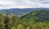 Percorso Equitazione Still - 2021-05-24 Picnic Elmersforst depuis Oberhaslach - Photo 3