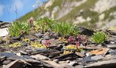 Tocht Stappen Chamonix-Mont-Blanc - Aiguillette des Posettes - Photo 15