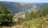 Trail Walking Gorges du Tarn Causses - La Condamine, le Single  - Photo 3