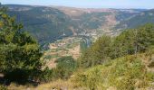 Tour Wandern Gorges du Tarn Causses - La Condamine, le Single  - Photo 3