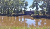 Tocht Stappen Sluis - Autre balade à trotinette autour de Sluis - Photo 7