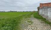 Trail Walking Brunehaut - Hollain 16,2 km - Photo 4