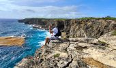 Randonnée Marche Anse-Bertrand - Guadeloupe - Porte d'Enfer à Pointe du Souffleur  - Photo 5