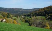 Tour Wandern Hohwald - Le Hohwald Grande Bellevue Cascade de l'Andlau - Photo 1