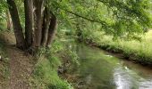 Tour Wandern Ciney - Braibant 060722 - Photo 4