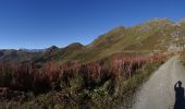 Tour Zu Fuß Val de Bagnes - Ancien Bisse du Levron - Photo 7