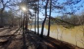 Tour Wandern Yerres - forêt de senart - Photo 2