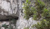 Trail Walking La Palud-sur-Verdon - les malines au point sublime - Photo 10