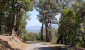 Tocht Stappen La Garde-Freinet - Les Roches Blanches - Photo 2