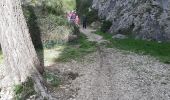 Tour Wandern Allauch - Anciennes Mines de Bauxite Allauch - Photo 4