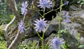Trail Walking Cauterets - Ileou-Pont d’Espagne - Photo 3