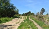 Tocht Te voet Wealden - Chelwood Vachery (Ashdown Forest on foot) - Photo 2