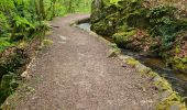 Tour Wandern Aubazines - Reco-Lac de Coiroux-2024-04-25 - Photo 11