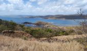 Excursión Senderismo La Trinité - Presqu'île de la caravelle  - Photo 17