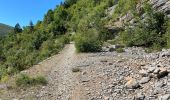 Tocht Stappen Gorges du Tarn Causses - Saint Chely 17 km - Photo 4