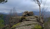 Trail Walking Still - oberhaslach - Photo 5