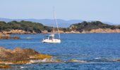 Tocht Stappen Hyères - Ile de Porquerolles - Photo 2