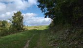 Trail Walking Luynes - Luynes la Rue Barbier - la Loire et l'Aqueduc - 12.3km 100m 3h20 (35mn) - 2025 09 15 - Photo 6