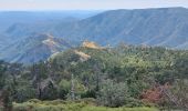 Tour Wandern Saint-André-de-Valborgne - aire de côté à l aigoual - Photo 5