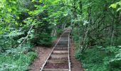 Tocht Stappen Saint-Ours - Puy de Jumes puy de la Coquille - Photo 4