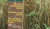 Tour Wandern Saint-Denis - Piton BDN -Mamode Camp par le gîte de Roche Ecrite - Photo 3